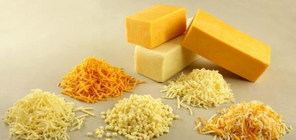 همه چیز درباره پنیر چدار