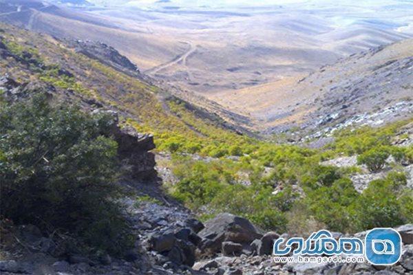 منطقه حفاظت شده لشگر یکی از جاذبه های دیدنی استان همدان است