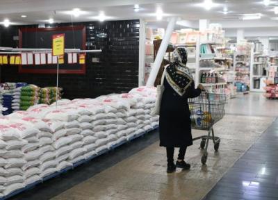جدیدترین قیمت برنج ایرانی ، رقابت وارداتی ها با برنج ایرانی